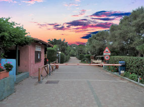 The caravan park/camping