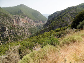 Road through the mountains