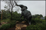 Zoo - Elephant Sculpture