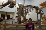 Mammoth - Jody at the Skeleton