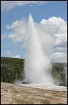 Yellowstone - OId Faithful Erupts