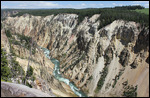 Yellowstone - Grand Canyon of Yellowstone
