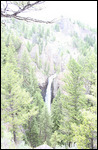 Yellowstone - Tower Falls