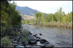 Salmon - River Overlook