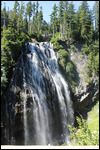 Rainier - Narada Falls