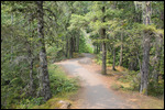 Hurricane - Path From Scenic Overlook