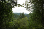 Mt Hood - Scenic Overlook