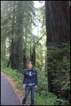 Jody with Redwood at Jedediah Smith State Park
