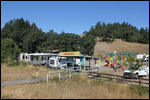 Skunk - The KOA Campground