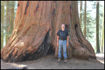 Grove - Rick at Giant Sequoia