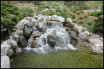 Garden - Waterfall
