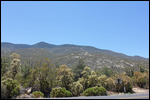 Scenic Overlook
