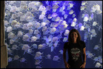 Aquarium - Jody With the Silver Fish