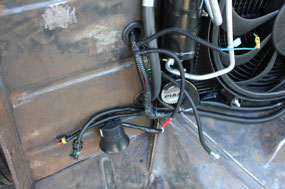 Passenger's Side Horn & Harness