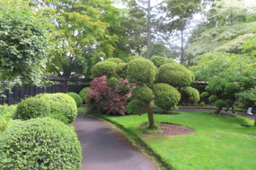 Views of Japanese Gardens