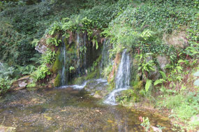 Blarney Castle Gardens - View of the Gardens