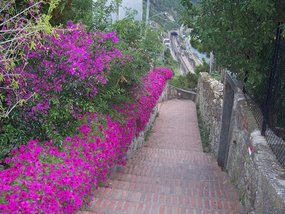 400+ steps down from Corniglia to train station