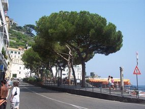 Amalfi was perfect for strolling along the sea