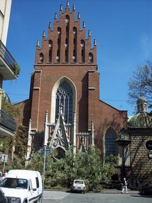 100+year old trees toppled everywhere