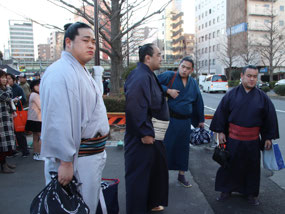 Sumo stars