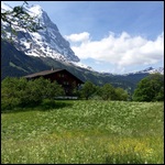 A beautiful meadow after we landed