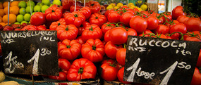 The Tomatoes are the size of Watermelons!