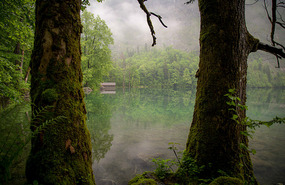 So peaceful