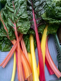 Interesting coloured silverbeet!