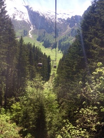 Over the cows and goats