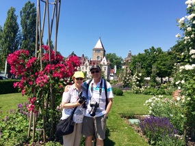 Enjoying the roses
