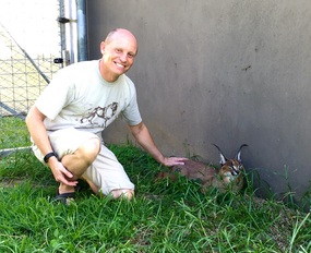 Patting a Caracal