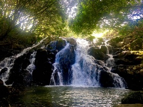 Waterfall at Chamarel