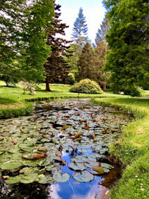 Lovely gardens