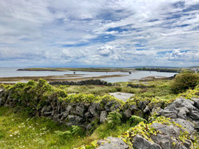 Fields crossed with stone fences on Inis Mor