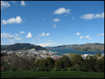 Dunedin Harbour