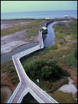 The boardwalk at the Birding & Nature Centre.