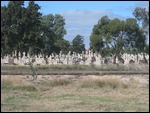 dead centre of Adelaide