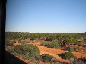 the start of the nullarbor