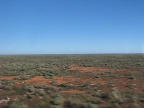 the treeless plain