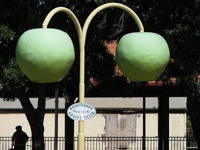 a pair of granny smith apples