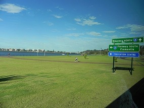 how green the grass is