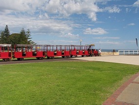 The train