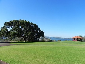 Looking across kings park
