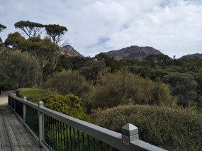 From the lodge 3