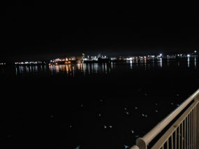 Early morning in Geelong