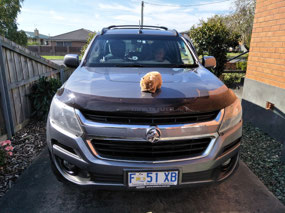 Mrs G and Grumbli with car all fully loaded