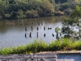 Old Foundations of an old Bridge