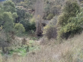 Historic Bridge