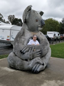 Big Koala