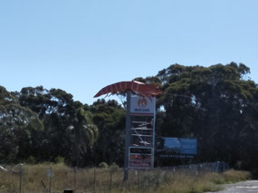 Big Prawn